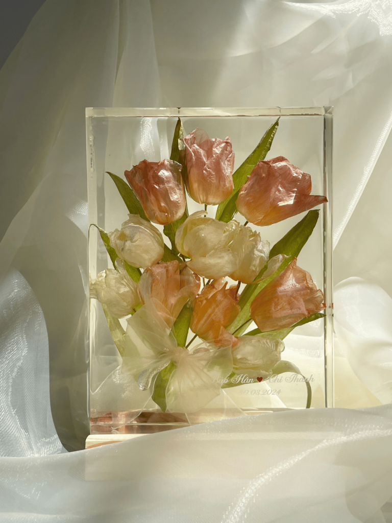 Khối hoa Tulip