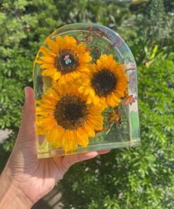 Khối hoa vòm size S - hoa hướng dương