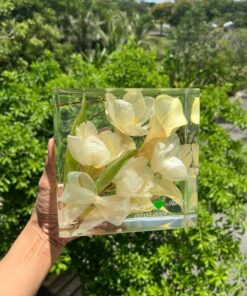Khối hoa cưới tulip trắng hình vuông size S