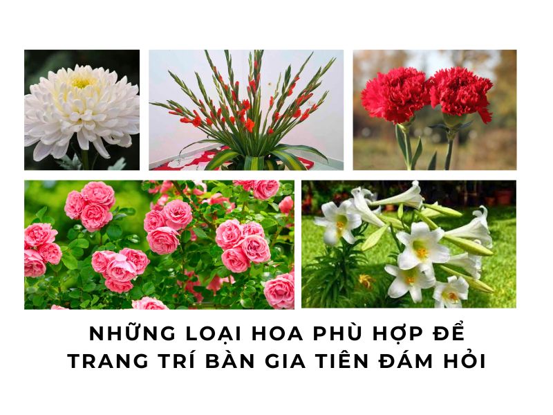 Những Loại Hoa Phù Hợp Để Trang Trí Bàn Gia Tiên Đám Hỏi