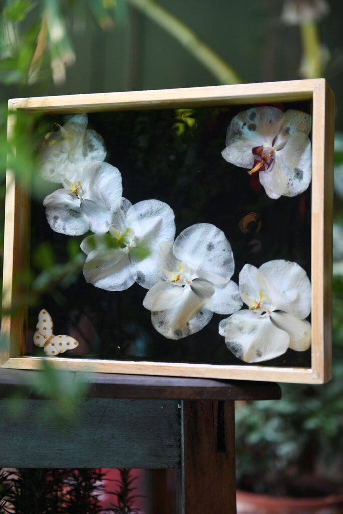 Bảo quản hoa kỷ niệm bằng tranh khối hoa 3D Resin