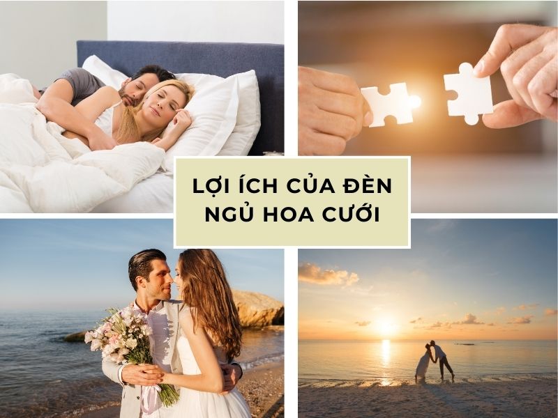 Lợi ích của đèn ngủ hoa cưới