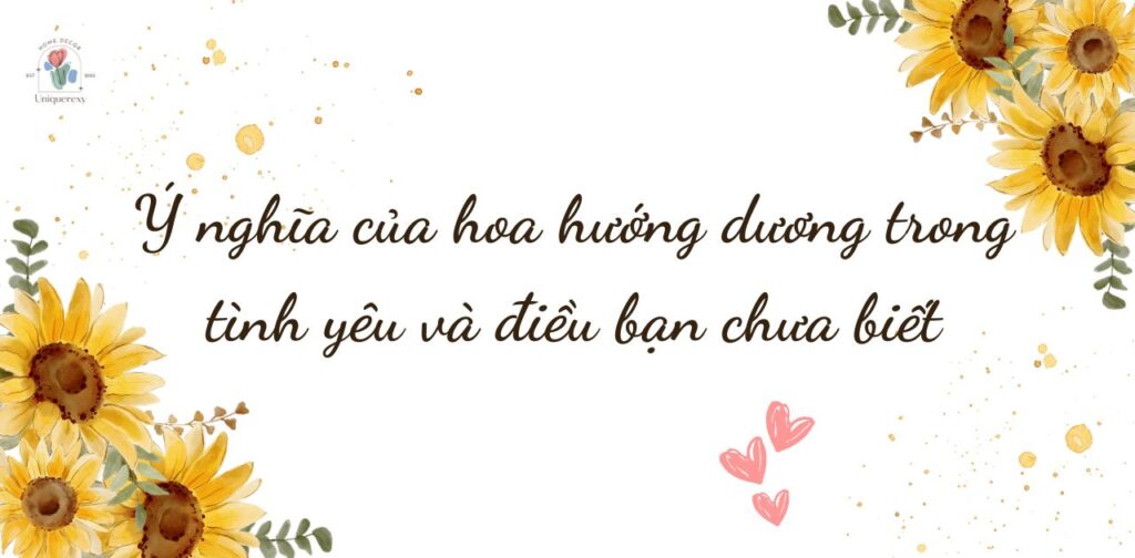 Ý nghĩa của hoa hướng dương trong tình yêu và điều bạn chưa biết