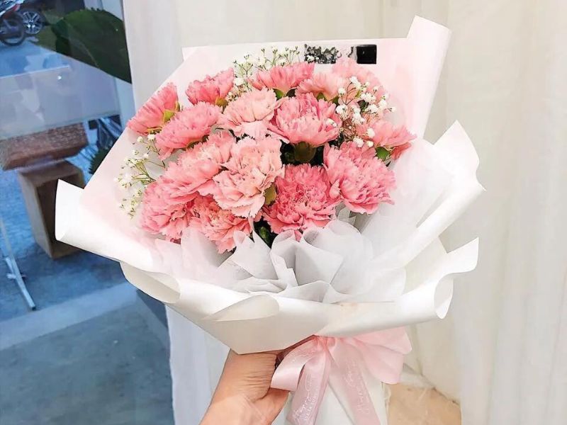 Hoa cẩm chướng biểu tượng của tình bạn và sự trân trọng