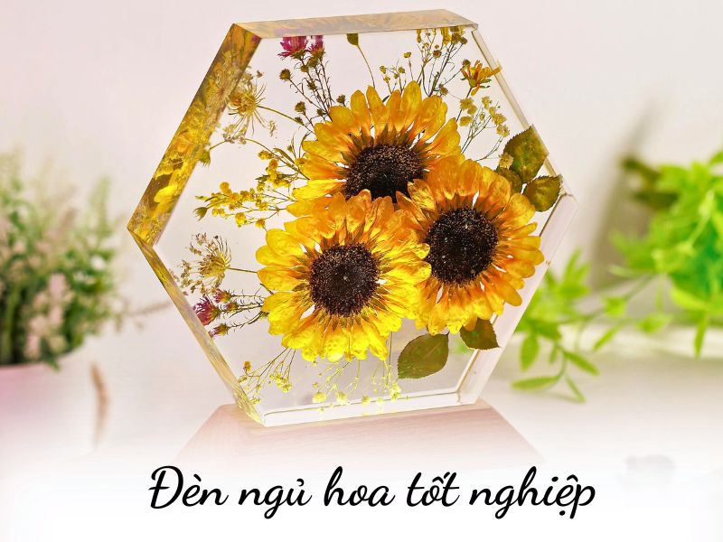 Lưu giữ hoa mừng tốt nghiệp cũng như lưu giữ cột mốc khởi đầu