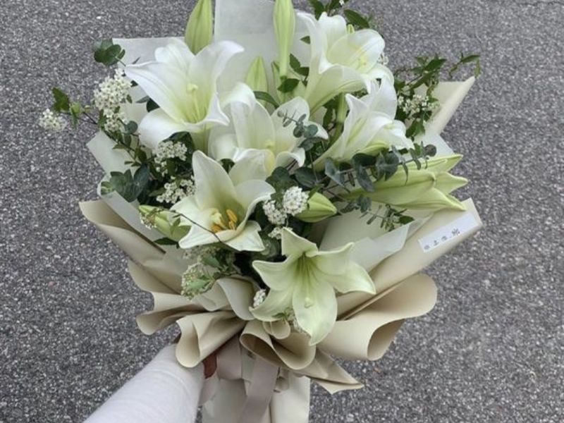 hoa lily