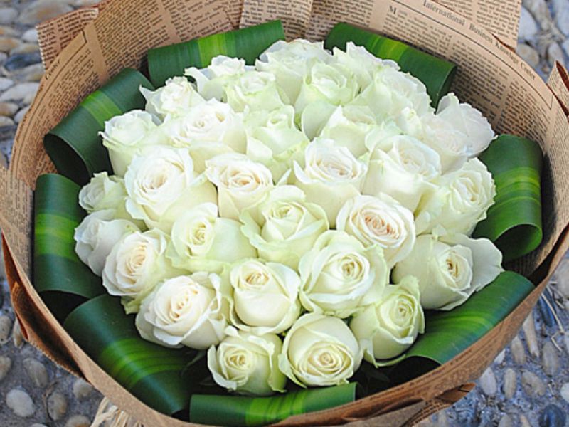 Hoa Hồng trắng và những ánh sắc màu khác nhau.