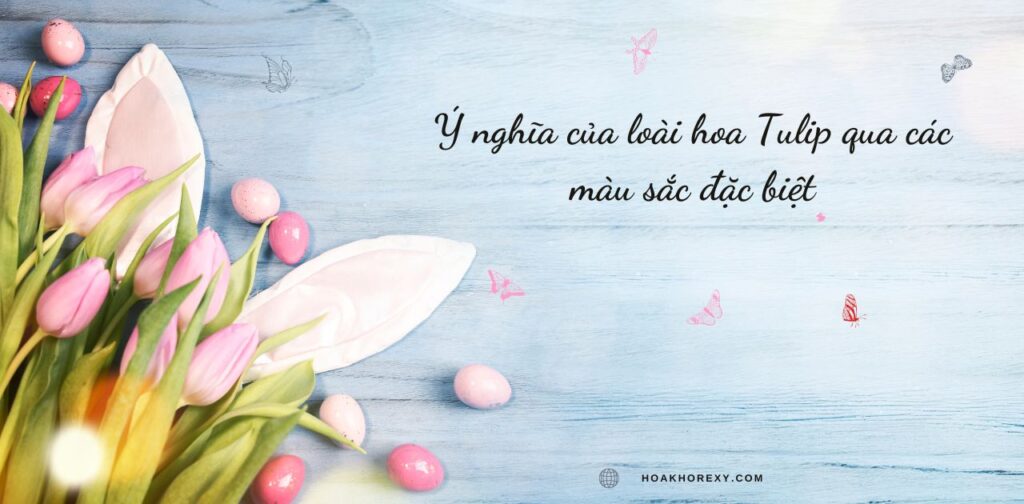 Ý nghĩa của loài hoa Tulip qua các màu sắc đặc biệt