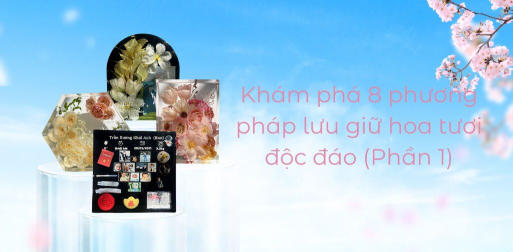Khám phá 8 phương pháp lưu giữ hoa tươi độc đáo