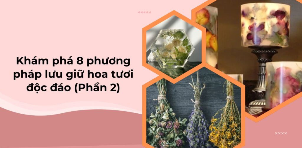 Khám phá 8 phương pháp lưu giữ hoa tươi