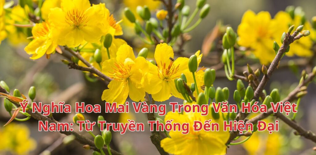 Ý Nghĩa Hoa Mai Vàng Trong Văn Hóa Việt Nam: Từ Truyền Thống Đến Hiện Đại