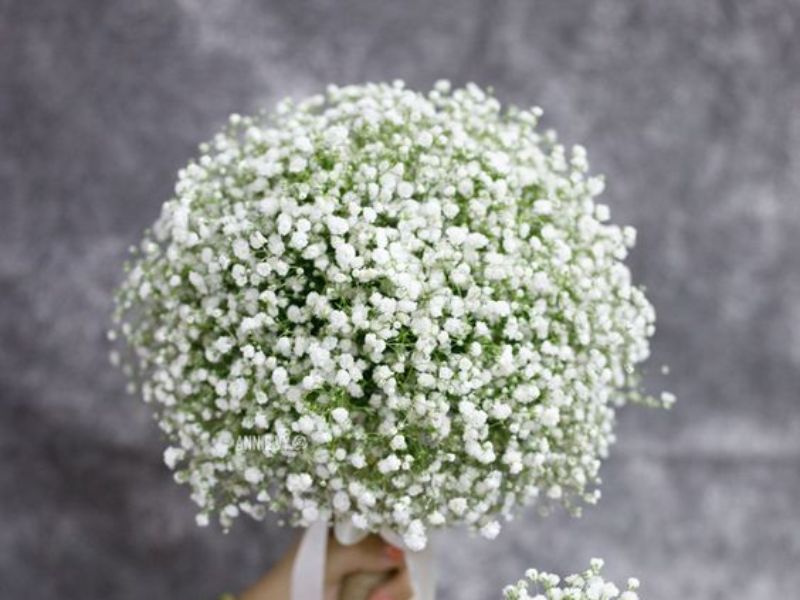 10 Loại hoa cưới hoàn hảo cho cặp đôi đam mê du lịch