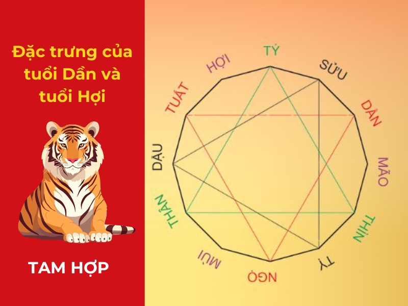 Hợp khắc giữa tuổi Dần và tuổi Hợi