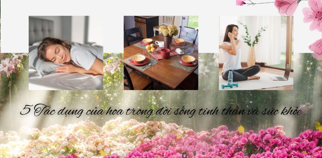 4 Tác dụng của hoa trong đời sống tinh thần và sức khỏe