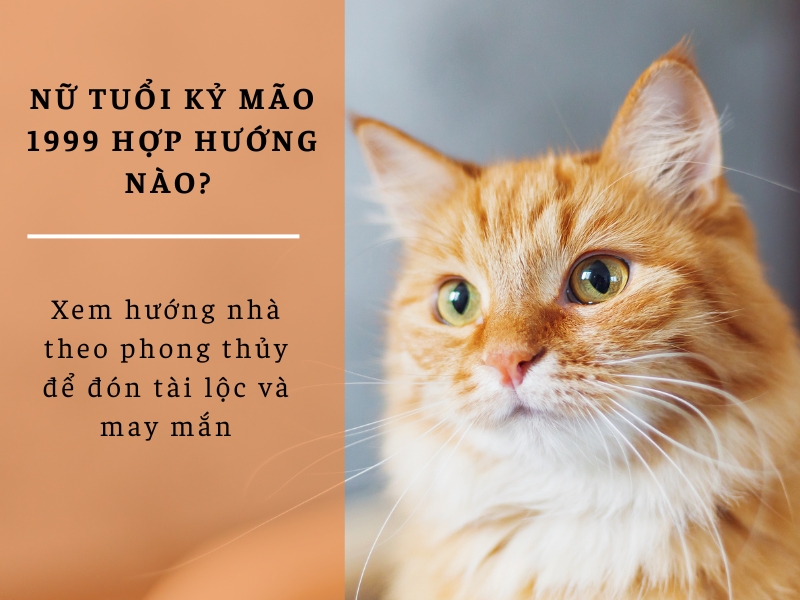 Nữ tuổi Kỷ Mão 1999 hợp hướng nào? Xem hướng nhà theo phong thủy để đón tài lộc và may mắn