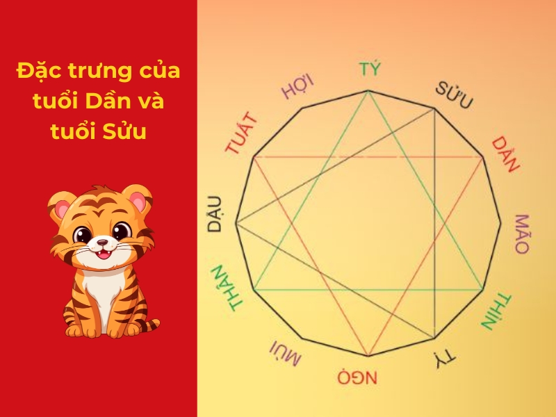 Đặc trưng của tuổi Dần và tuổi Sửu