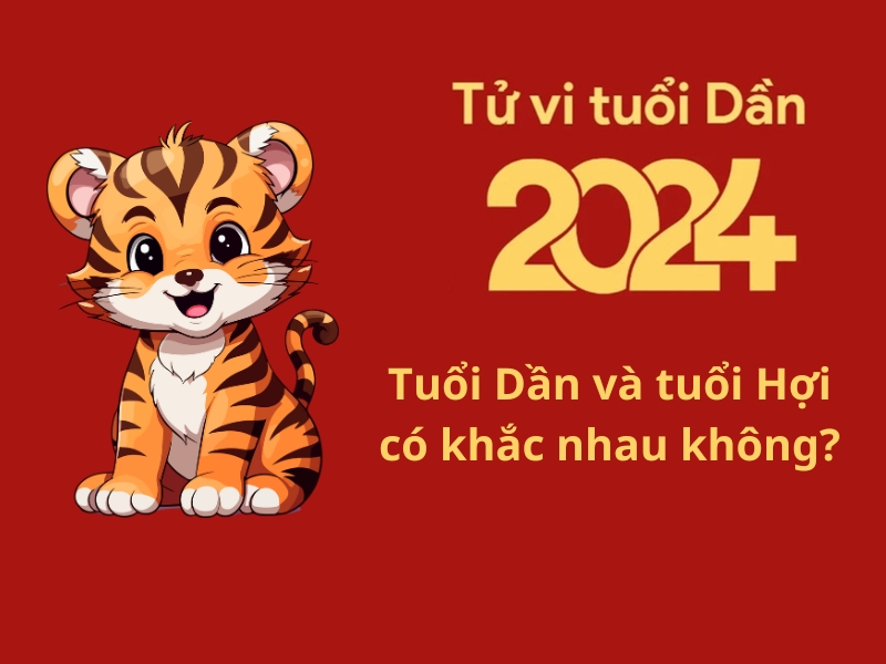 Tuổi Dần và tuổi Hợi có khắc nhau không? Phân tích chi tiết mới nhất năm 2024