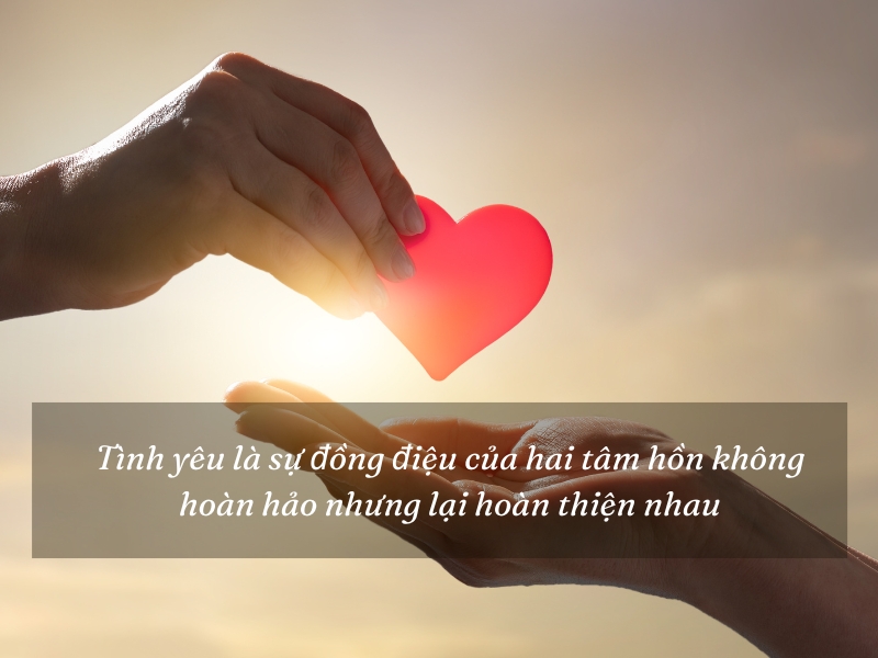 Những Câu Nói Ngọt Ngào & Say Đắm