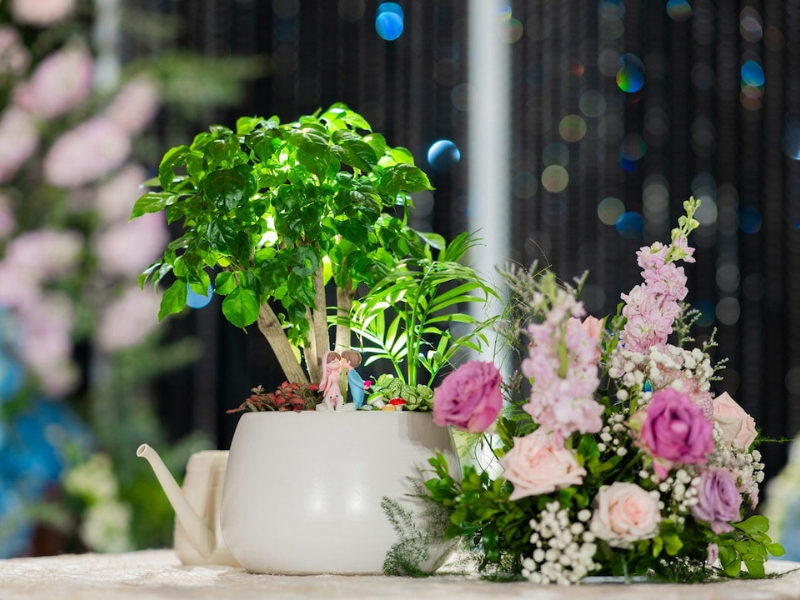Ý Nghĩa Sâu Sắc Của Nghi Thức Tưới Cây Trong Đám Cưới
