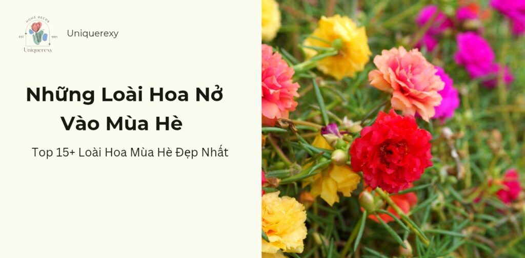 Những Loài Hoa Nở Vào Mùa Hè - Top 15+ Loài Hoa Mùa Hè Đẹp Nhất