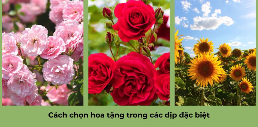 Cách chọn hoa tặng trong các dịp đặc biệt