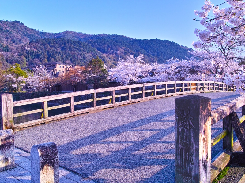 Kyoto, Nhật Bản: Cổ Kính & Thiêng Liêng