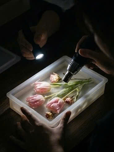 Khám phá ý nghĩa hoa cưới Tulip và hành trình ngưng đọng thanh xuân vào khối hoa resin độc bản tại Uniquerexy. Nơi những lời hứa đính hôn trở thành di sản đi cùng năm tháng.